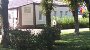 Социальный экологический эксперимент город Новоалександровск