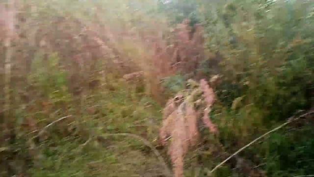 Другой берег. Что там находится. смотреть онлайн