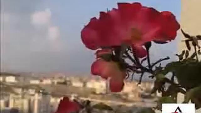 говорят есть страна смотреть онлайн