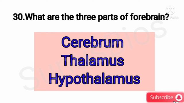 Neural control and co-ordination /Plus one Zoology /Focus area /All questions & answers смотреть онлайн