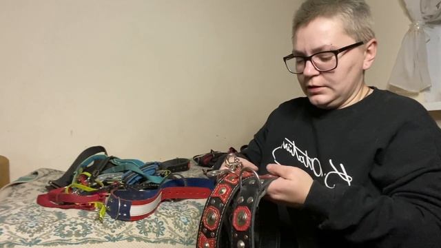 Обзор аммуниции для собак: поводки, ошейники, шлейки смотреть онлайн