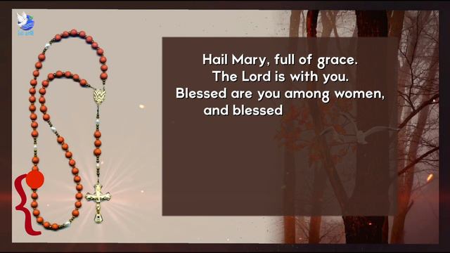 The Holy Rosary | How To Pray (A Step By Step Guide) смотреть онлайн