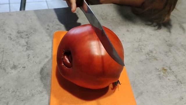 Сорт томата -Огненный гребень. смотреть онлайн