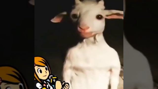 Rhythm heaven x undertale смотреть онлайн
