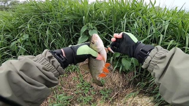 Рыбалка на голавля Краткий обзор уловистых воблеров смотреть онлайн