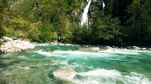 За Алтайский край.