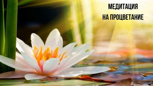 Медитация на процветание и благополучие. смотреть онлайн