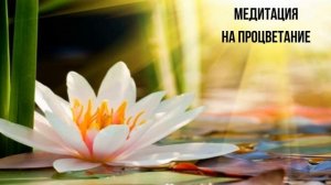 Медитация на процветание и благополучие.