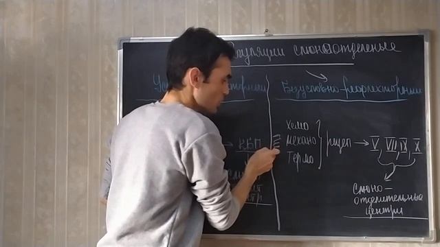 Физиология. Пищеварение в полости рта. смотреть онлайн