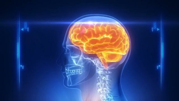 Classical Music For Brain Power | Mozart | Beethoven | Vivaldi