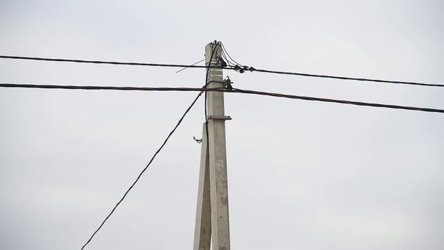 Проводим электроэнергию на территорию. Отчет со стройки осень 2021 смотреть онлайн