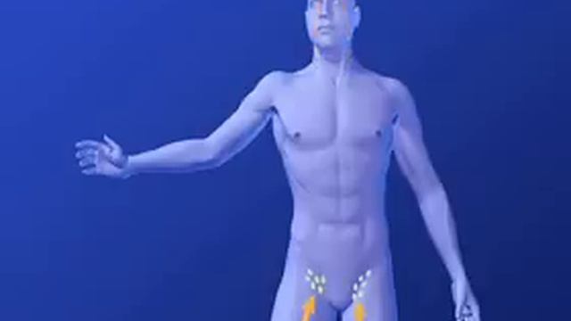 What are regional lymph nodes? смотреть онлайн