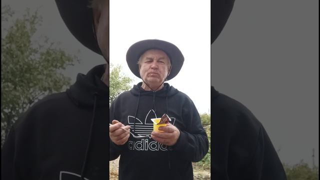 Ем пудинг молочный со вкусом ваниль. смотреть онлайн