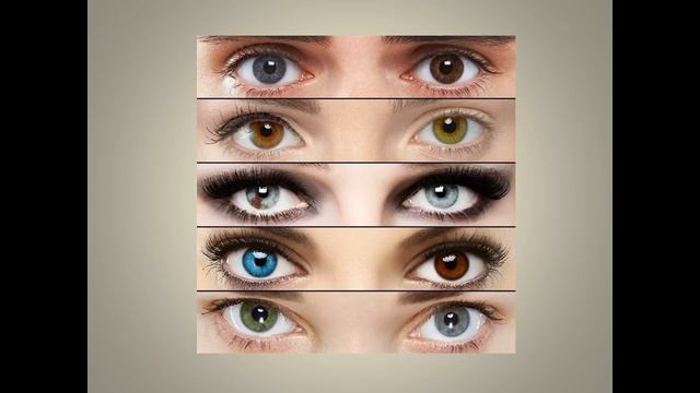 Орган зрения