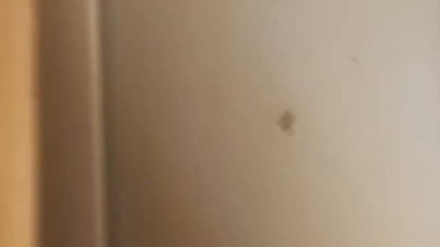 обзор на подарки 🌸 смотреть онлайн