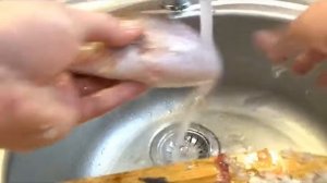 Электрическая рыбочистка VS Окунь