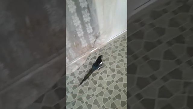Куда ты туда и я смотреть онлайн