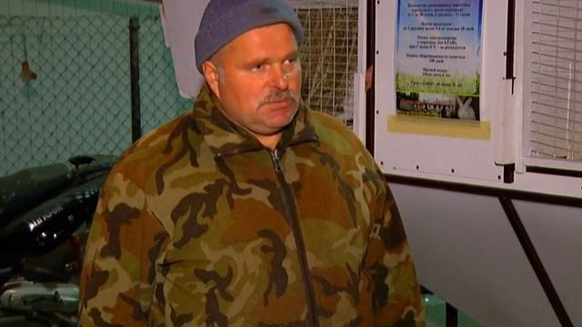 Кролики смотреть онлайн