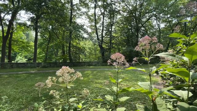 Hiking Highland Park, IL Millard Park ( We Get Engaged ) смотреть онлайн