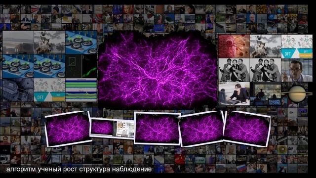 Живая слизь смоделировала Вселенную Космос Наука и техника смотреть онлайн