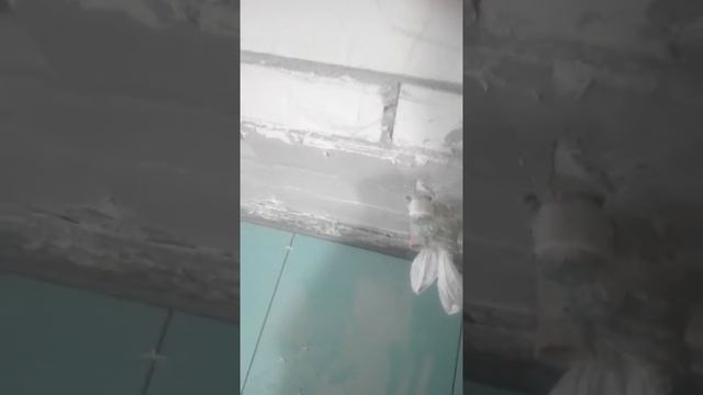 Подготовка к укладки плитки