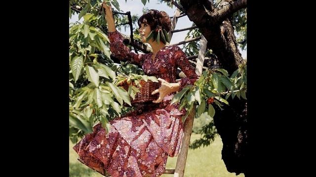 Audrey Hepburn. Одри Хепберн. Хрустальная нежность.??? 55 . смотреть онлайн