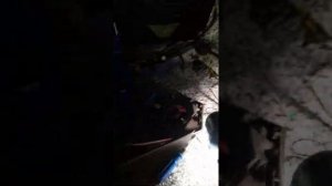 Течёт вода в багажник Лексус рх 330,300,350!