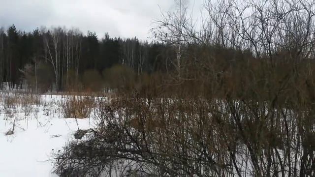 «Красноармейская лыжня – 2015» город Красноармейск 07 03 2015 год смотреть онлайн