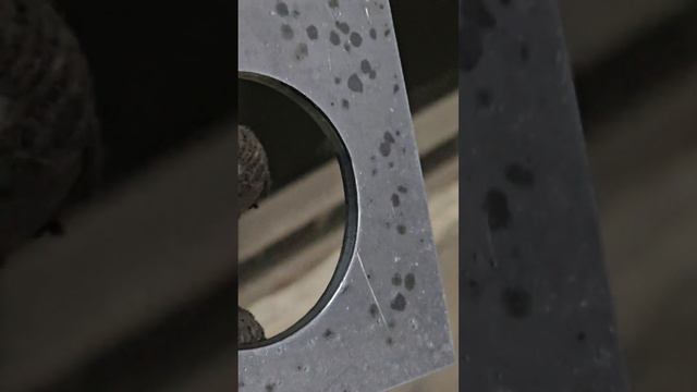 Плазменная резка с высочайшим качеством. 5 мм. раскроечный комплекс Ариа. смотреть онлайн