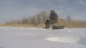 КАК ПОЙМАТЬ ЩУКУ НА ВИБ. ТЕХНИКА ИГРЫ. ЦВЕТ И РАЗМЕР ПРИМАНКИ.