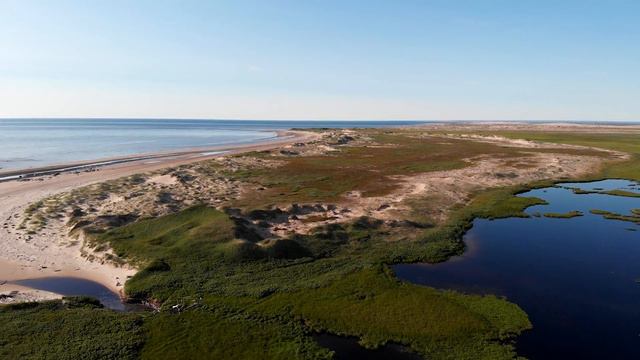 Другая Шойна / The Other Shoyna