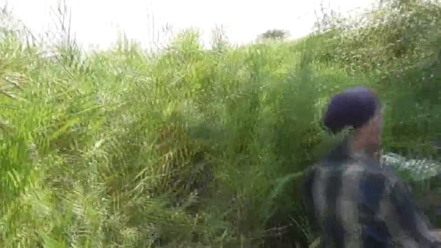 Обед под берёзкой на Рыжковском (Северном) пруду. 26. 07. 2017 смотреть онлайн