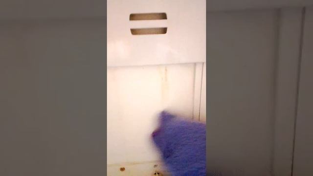 Отмыть без химии ЛЕГКО!!! Варежка Инволвер + вода всё отмоем без труда! +79834466179 смотреть онлайн