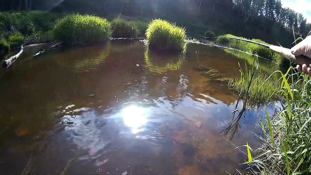 #7 • Проехали 800 км - не поймали ничего смотреть онлайн