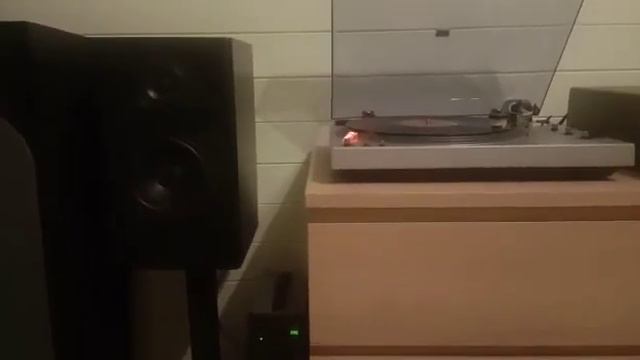 Flying Lemon Audio System X смотреть онлайн