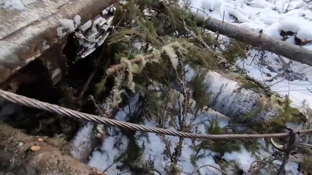 РАБОТА В ЛЕСУ! Валка леса Трактор ТДТ - 55 Трелевочник смотреть онлайн