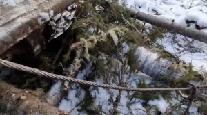 РАБОТА В ЛЕСУ! Валка леса Трактор ТДТ - 55 Трелевочник