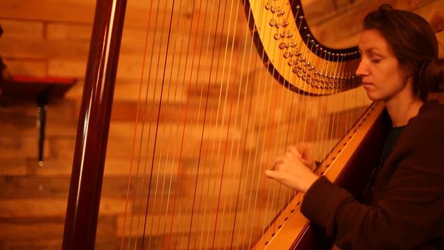 The Snowman on 2 cellos and a harp by Timo, Alice and Annie смотреть онлайн