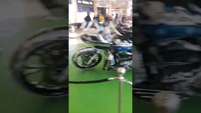 Санкт-петербург галерея смотреть онлайн