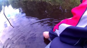 Щука на перемёт