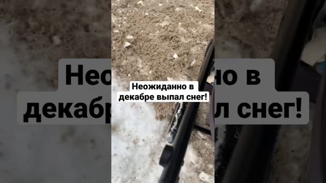 Спасибо девушке, которая помогла. #снег#зимавподмосковье #коляска#застряли смотреть онлайн