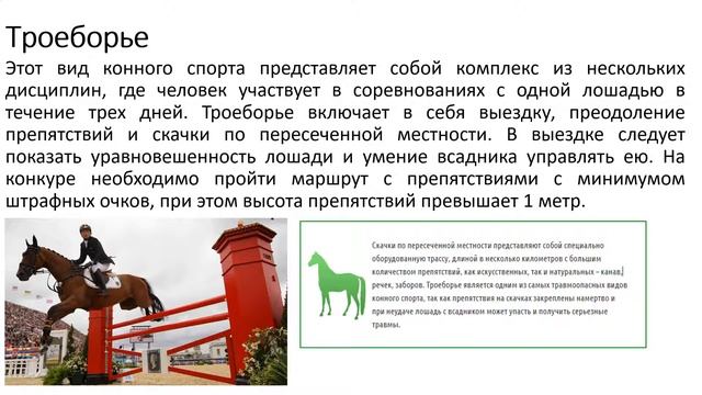 Конные виды спорта смотреть онлайн
