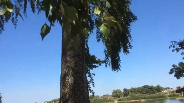 Советск 2018. Мост королевы Луизы. смотреть онлайн