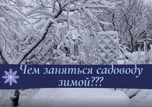 Чем заняться садоводу зимой?