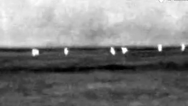 thermal deer running смотреть онлайн