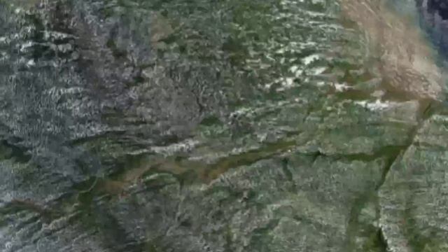 ЧТО БУДЕТ ЕСЛИ ВЫРУБИТЬ ВСЕ ДЕРЕВЬЯ смотреть онлайн