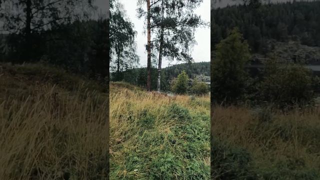Уют и гармония северной природы #shortvideo #travel #домнаколесах #россия #автодома #shorts смотреть онлайн
