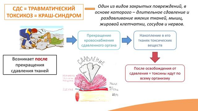 12.2. Травматический шок и синдром длительного сдавления (краш-синдром) смотреть онлайн