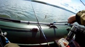 Рыбалка с лодки на фидер. Ловля леща с лодки. Взял жену и без приключений не обошлось.