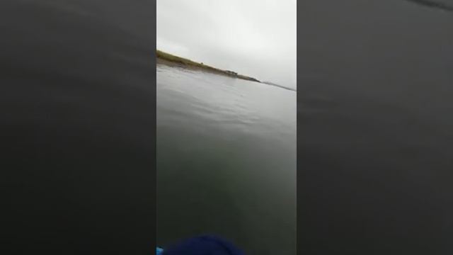 Эвакуация.mp4 смотреть онлайн